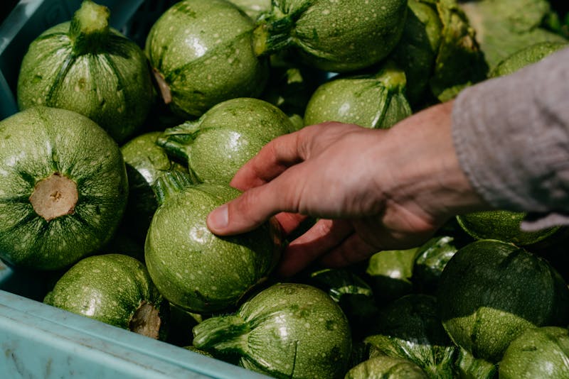 Chopt kitchen team working with fresh produce